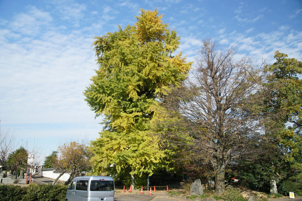 2025年11月14日(金)更新