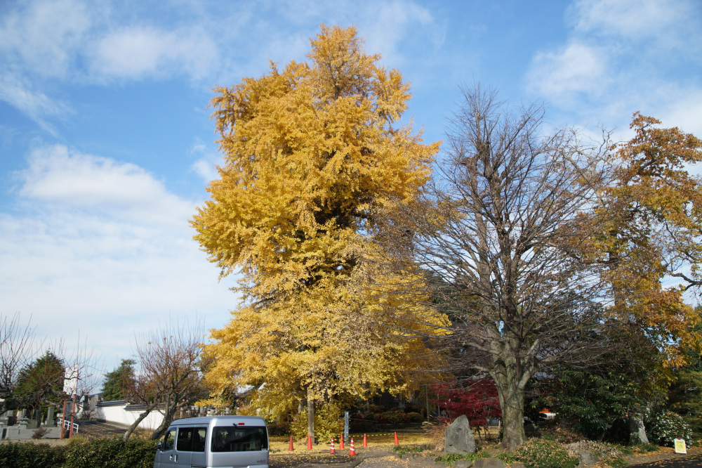 2025年11月26日(水)更新