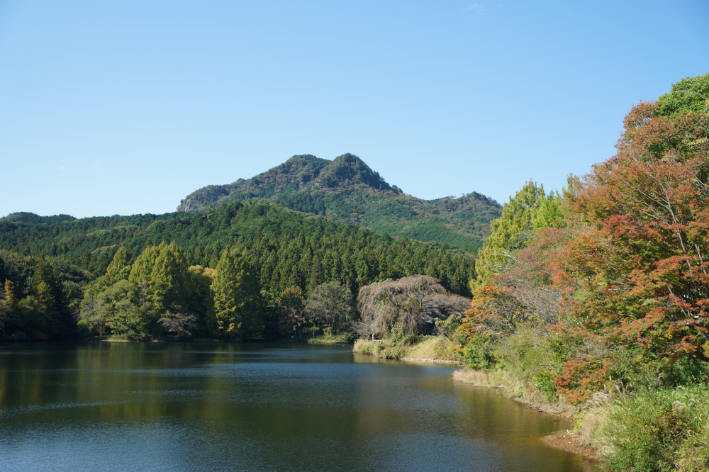2025年10月25日(土)更新
