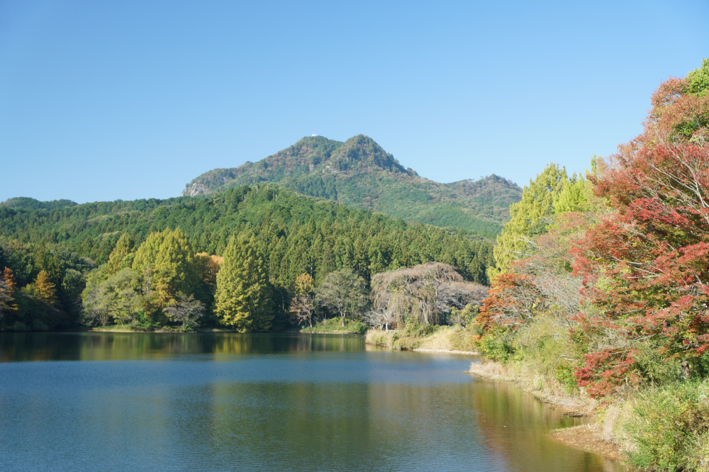 2025年10月30日(木)更新