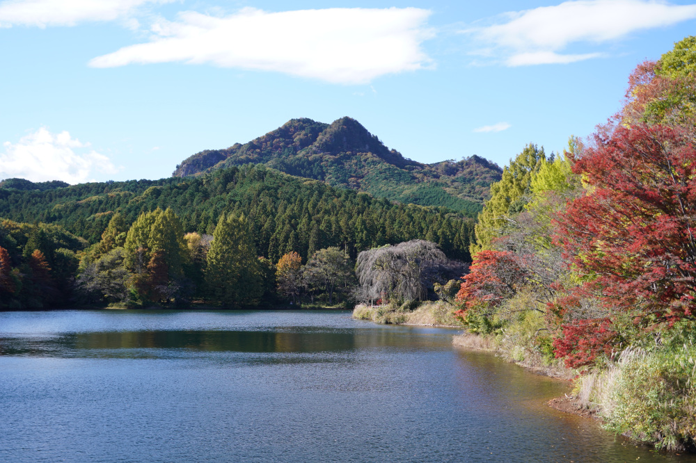 2025年11月3日(月)更新