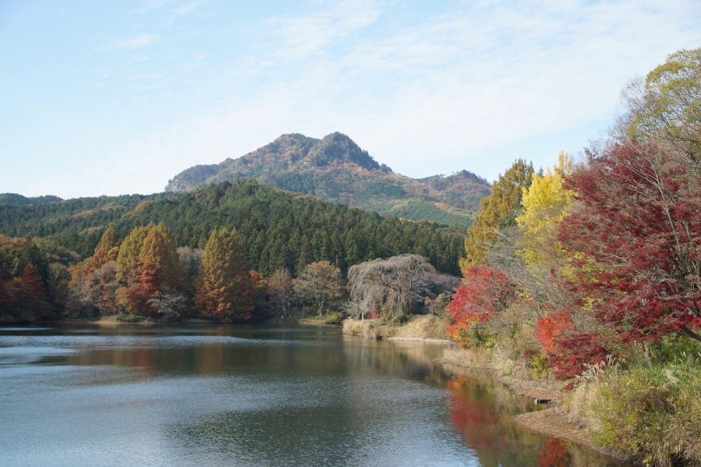 2025年11月14日(金)更新