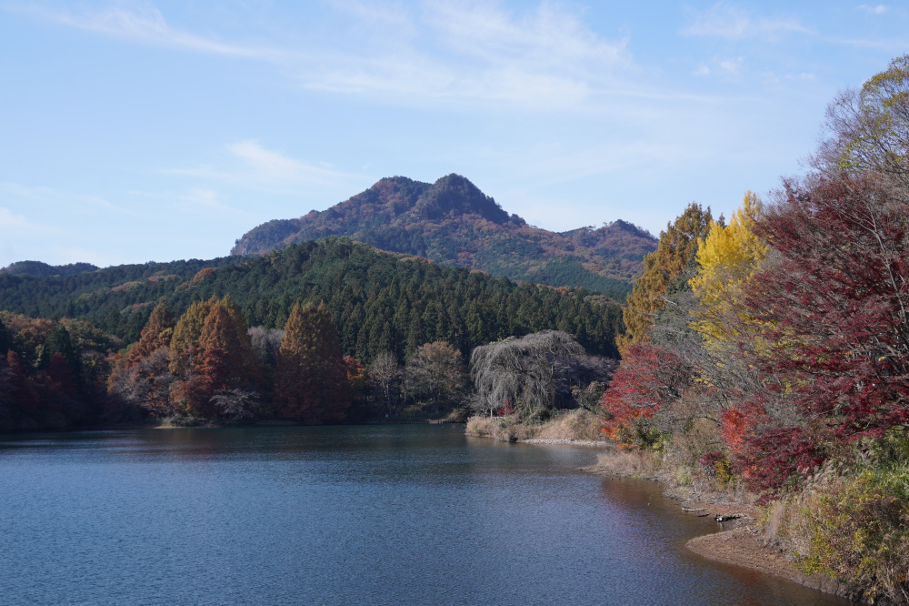 2025年11月16日(日)更新