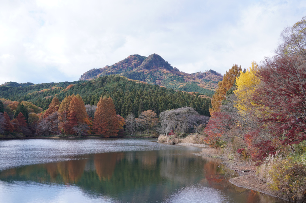 2025年11月18日(火)更新