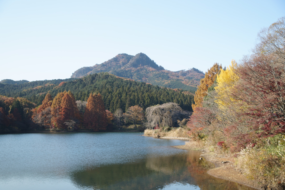 2025年11月20日(木)更新