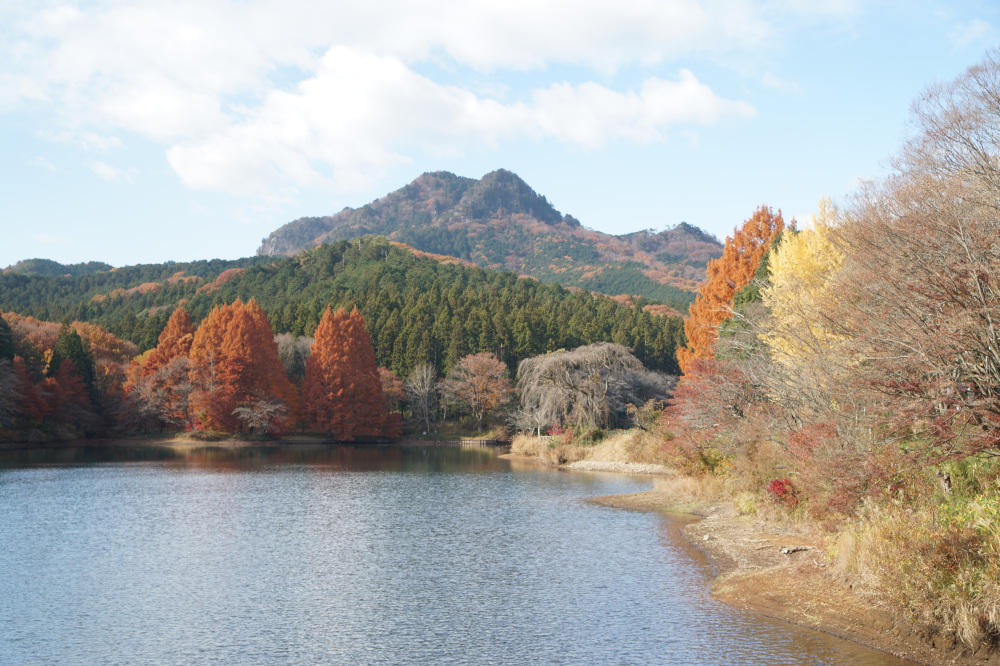 2025年11月26日(水)更新