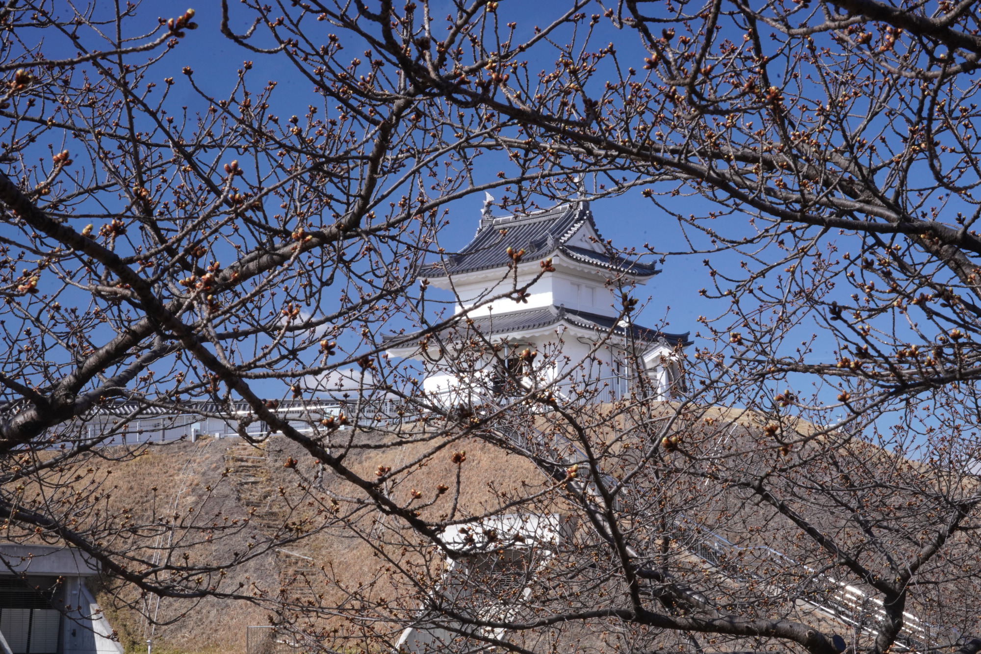 2026年2月21日(土)撮影