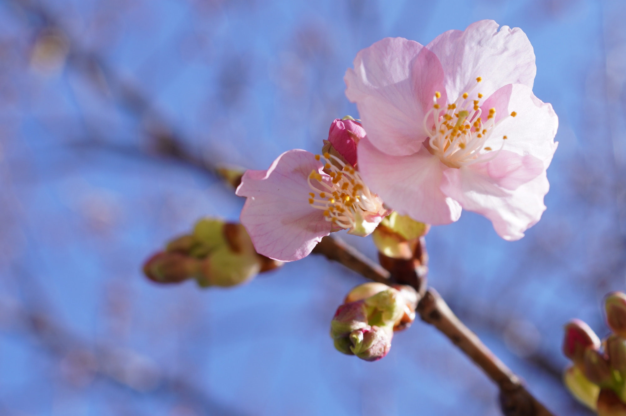 2026年2月21日(土)撮影