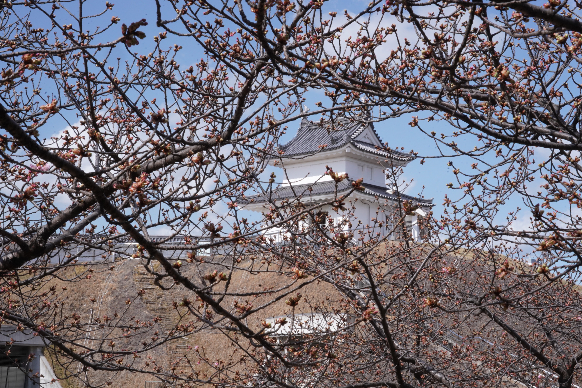2026年2月28日(土)撮影