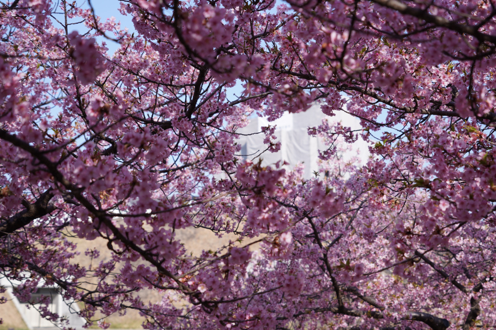 2026年3月21日（土）撮影