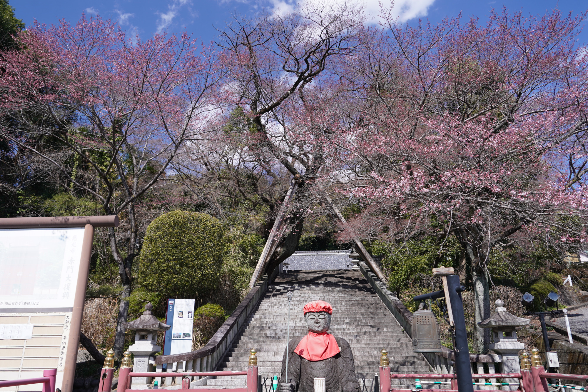 2026年3月19日(木)撮影