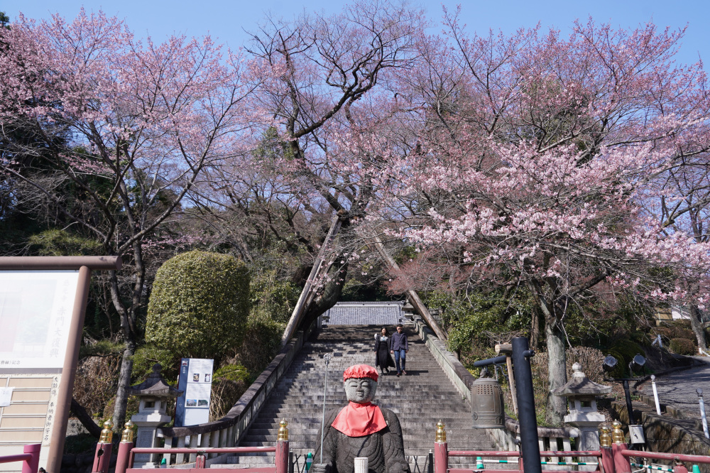 2026年3月21日（土）撮影