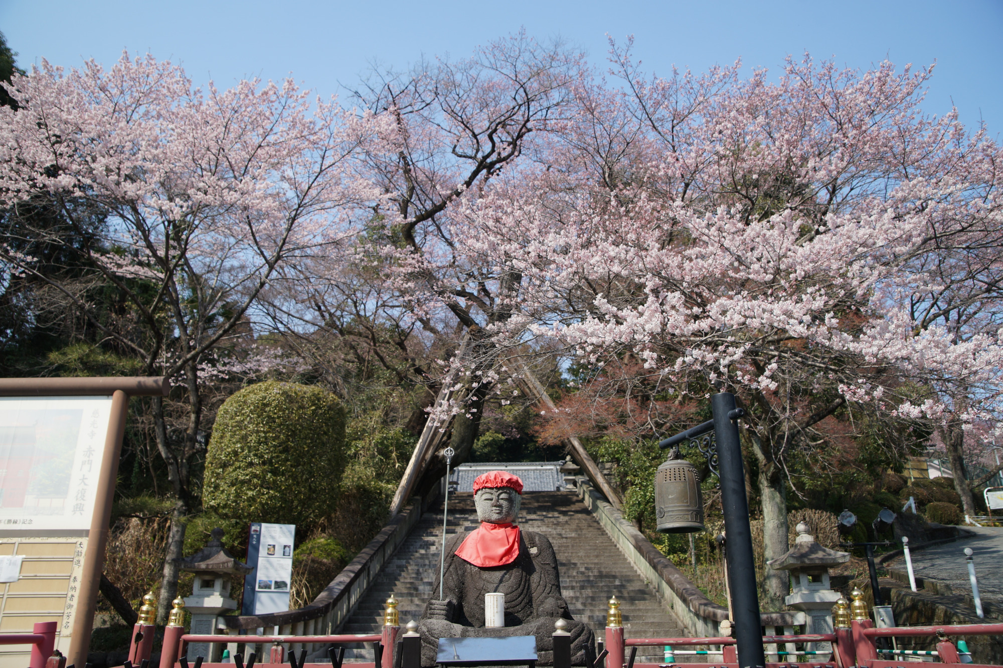 2026年3月23日(月)撮影