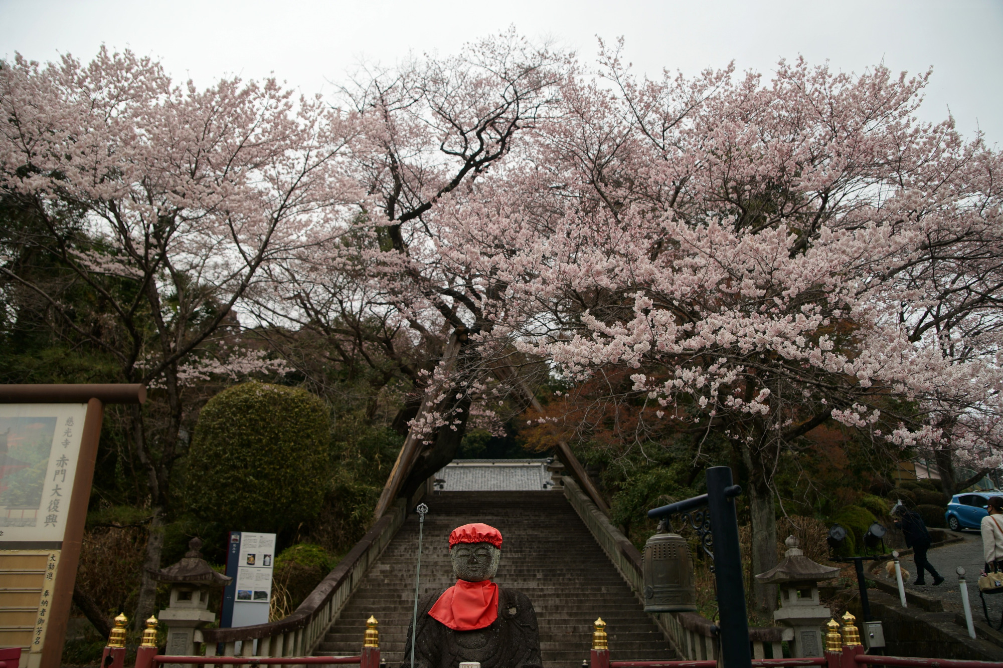 2026年3月25日(水)撮影