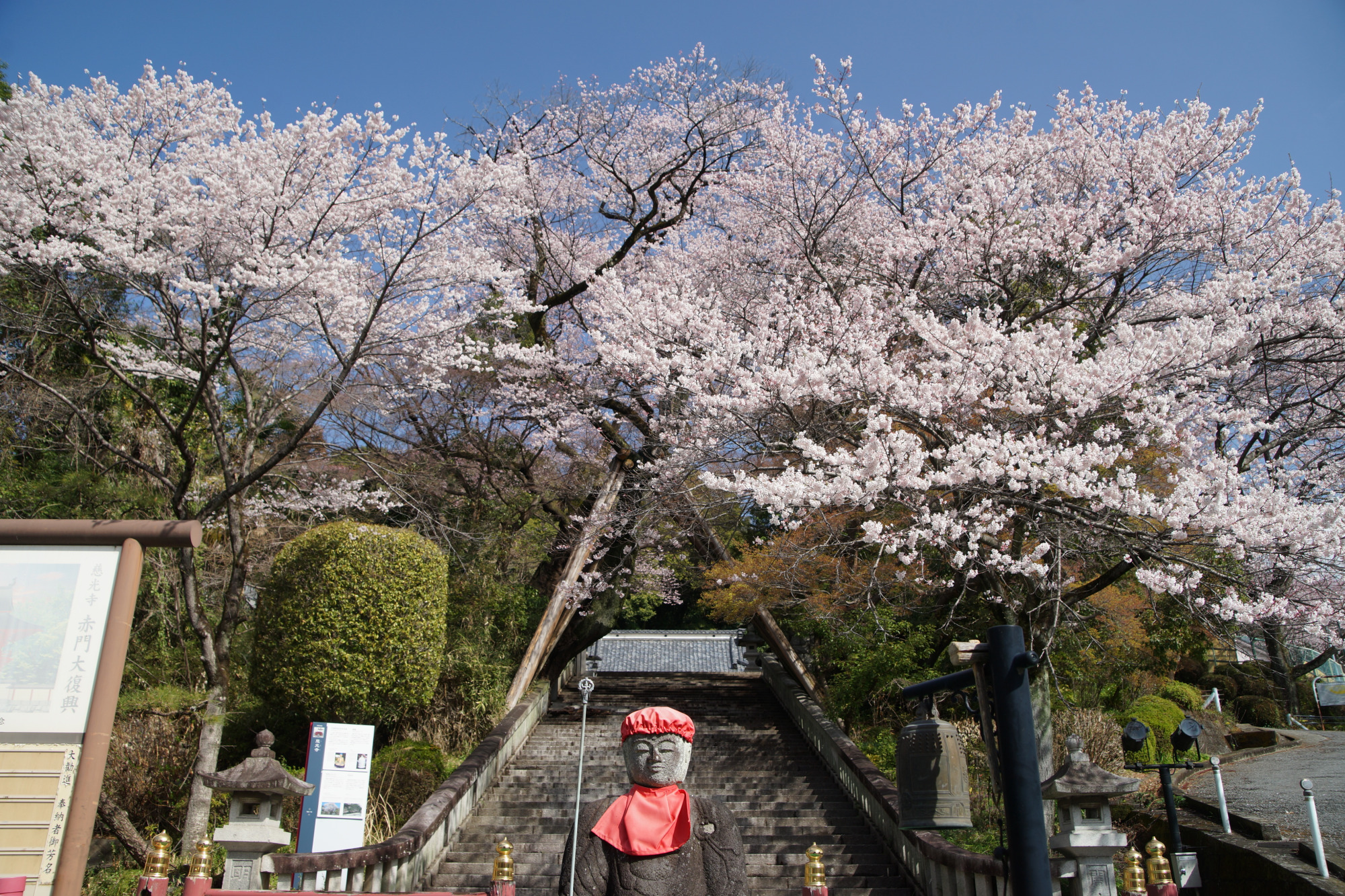2026年3月27日(金)撮影