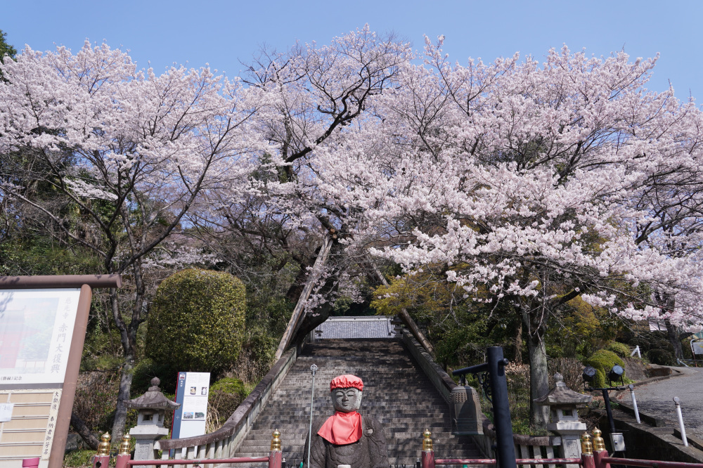 2026年3月29日（日）撮影