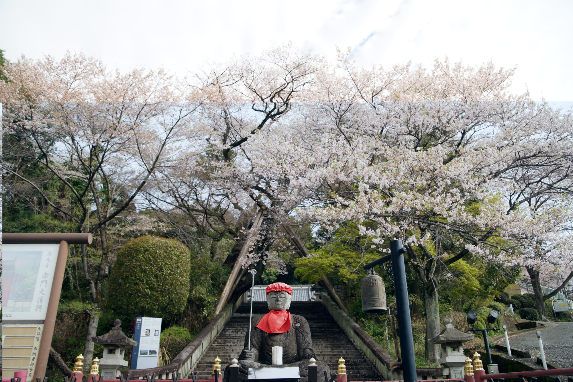 2026年4月1日(水)撮影
