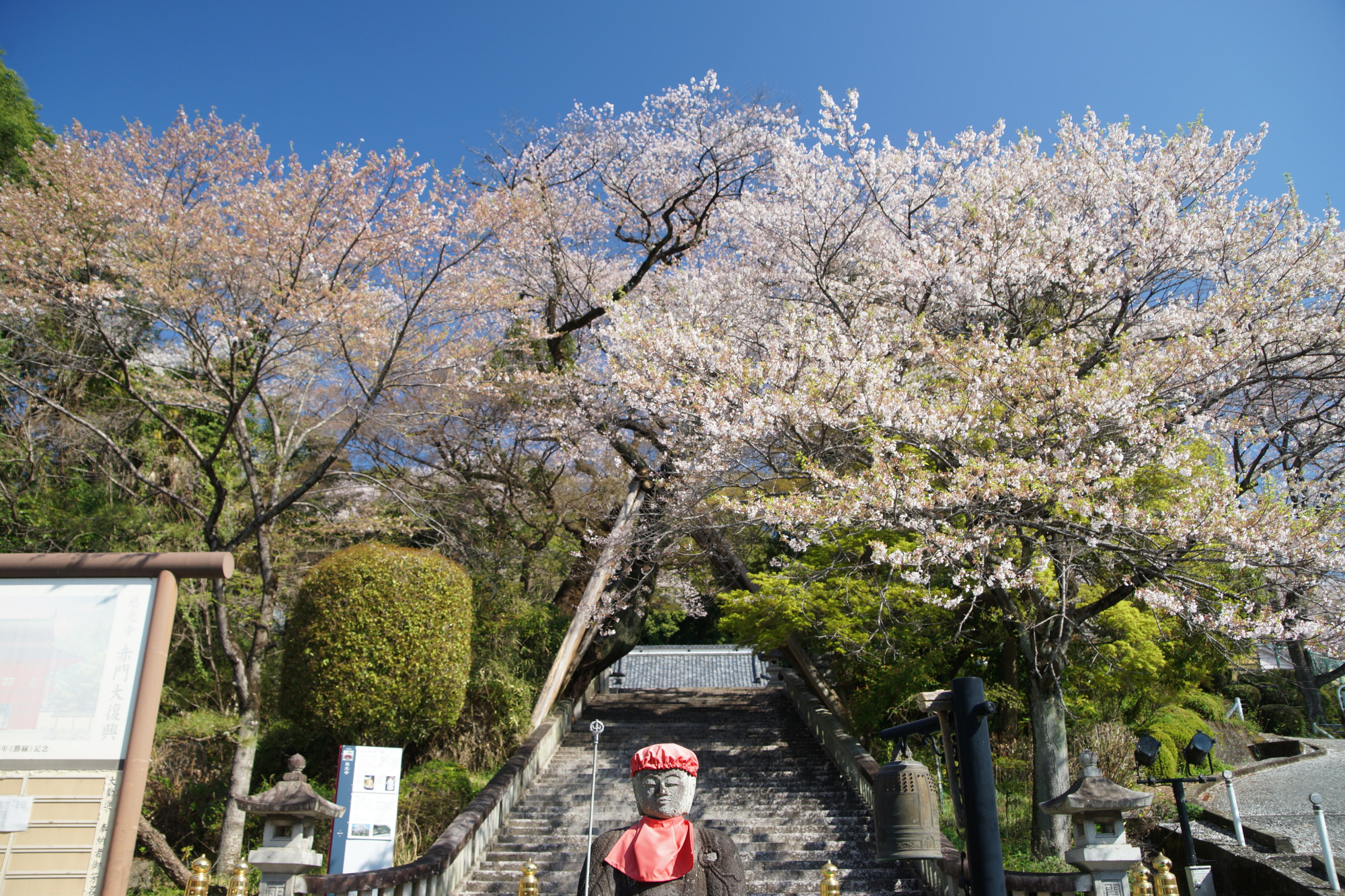 2026年4月3日(金)撮影