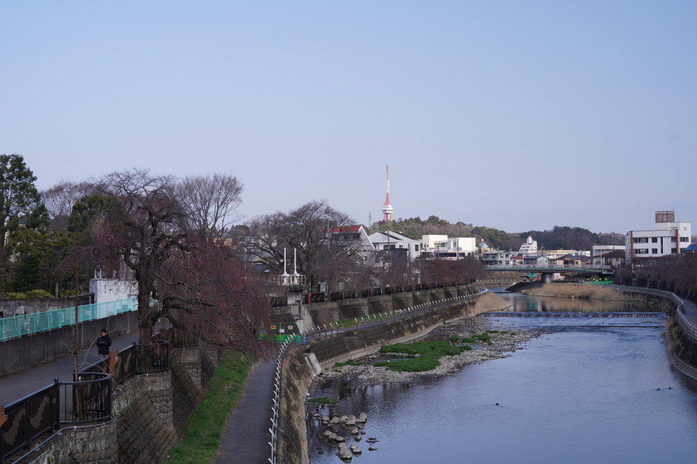 2026年3月22日（日）撮影