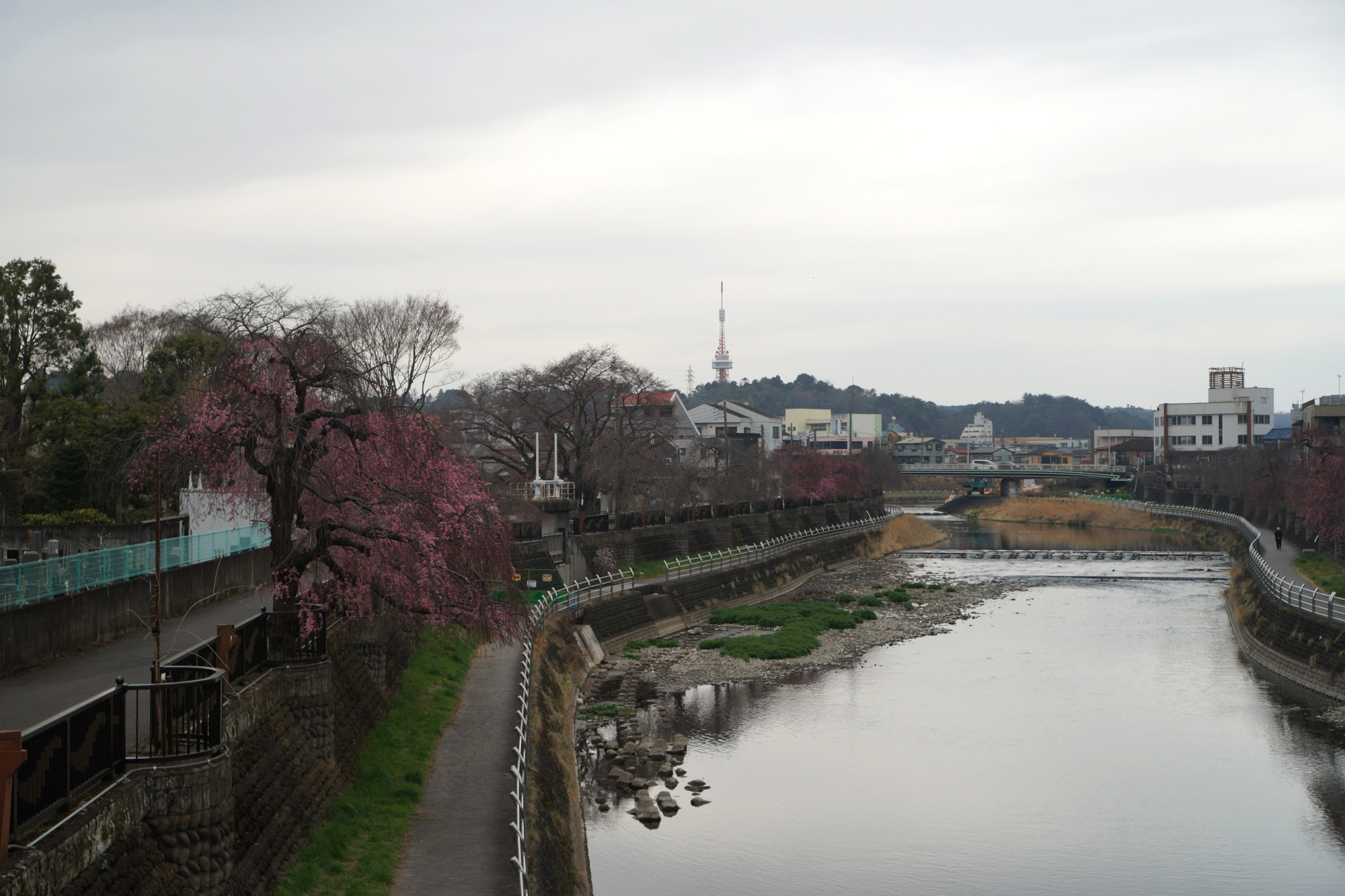 2026年3月25日(水)撮影