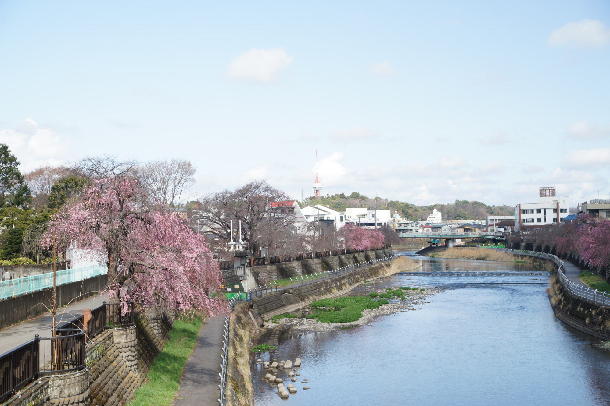 2026年3月27日(金)撮影