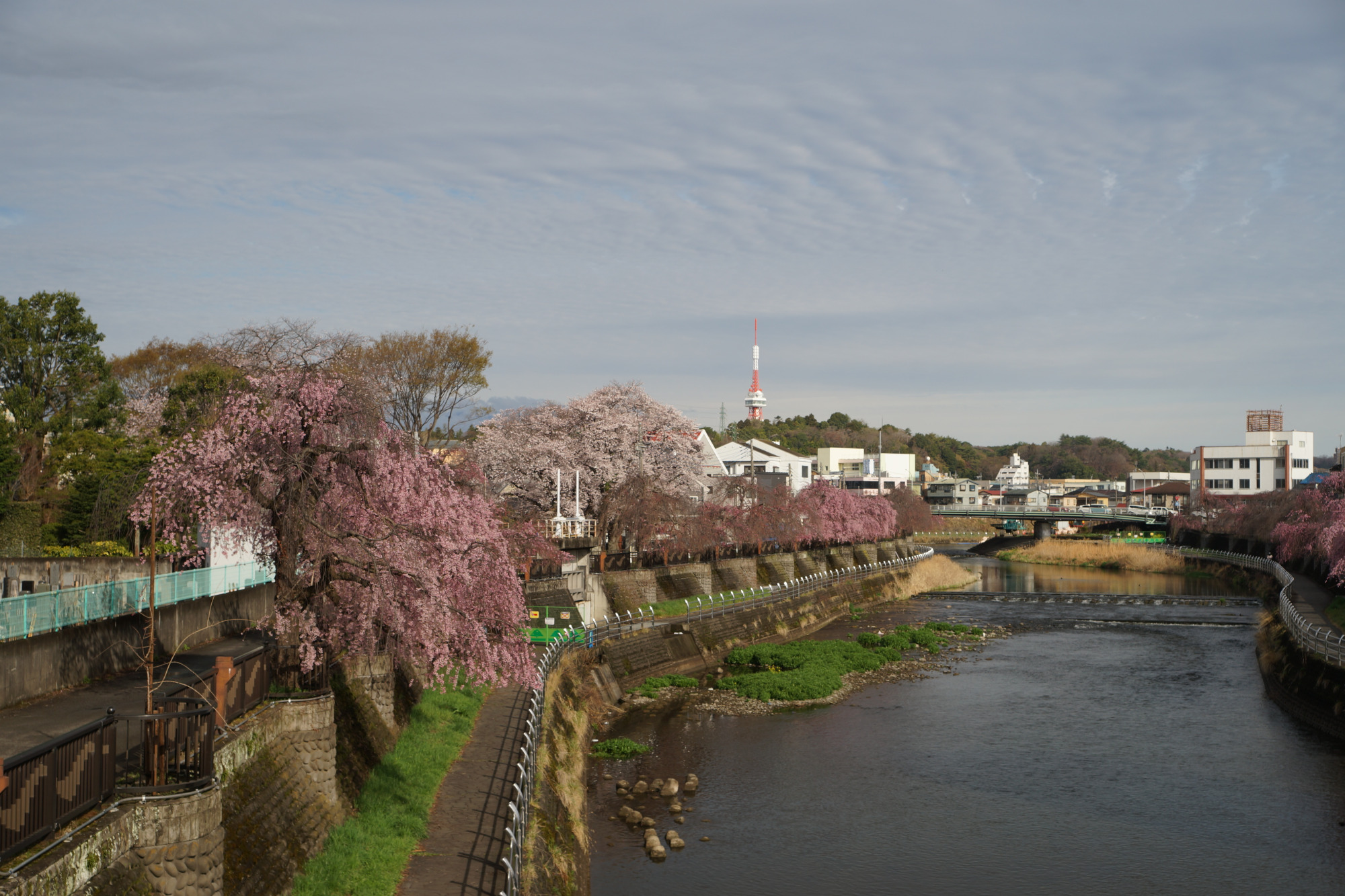 2026年4月1日(水)撮影