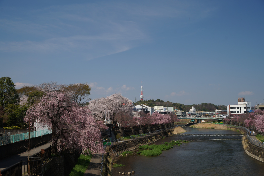 2026年4月3日（金）撮影