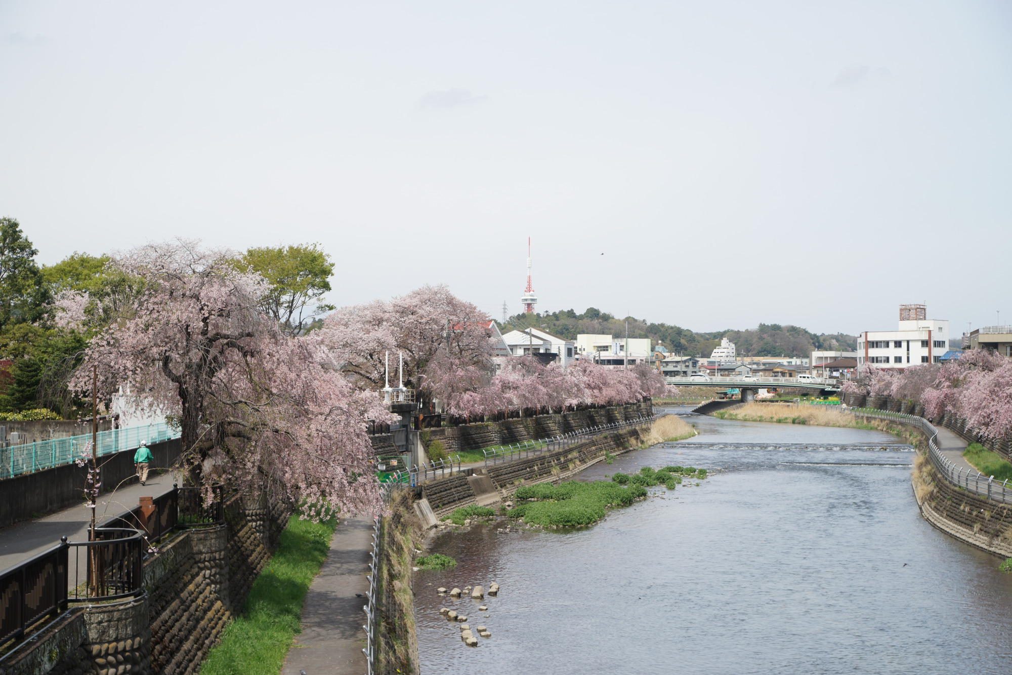 2026年4月9日(木)撮影