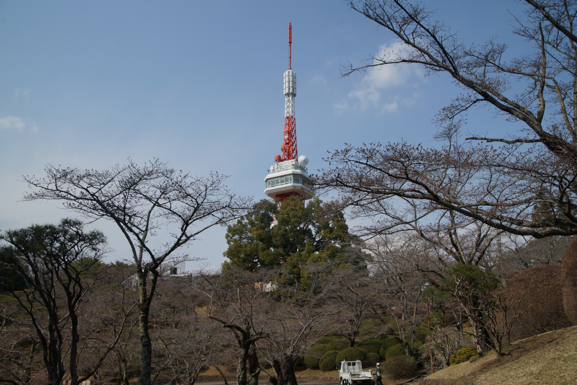 2026年3月23日(月)撮影