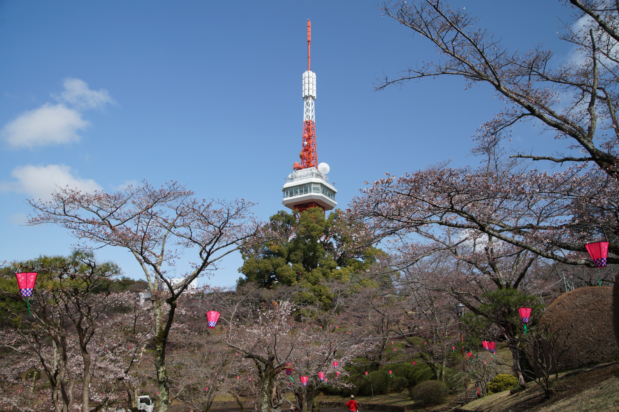 2026年3月27日(金)撮影