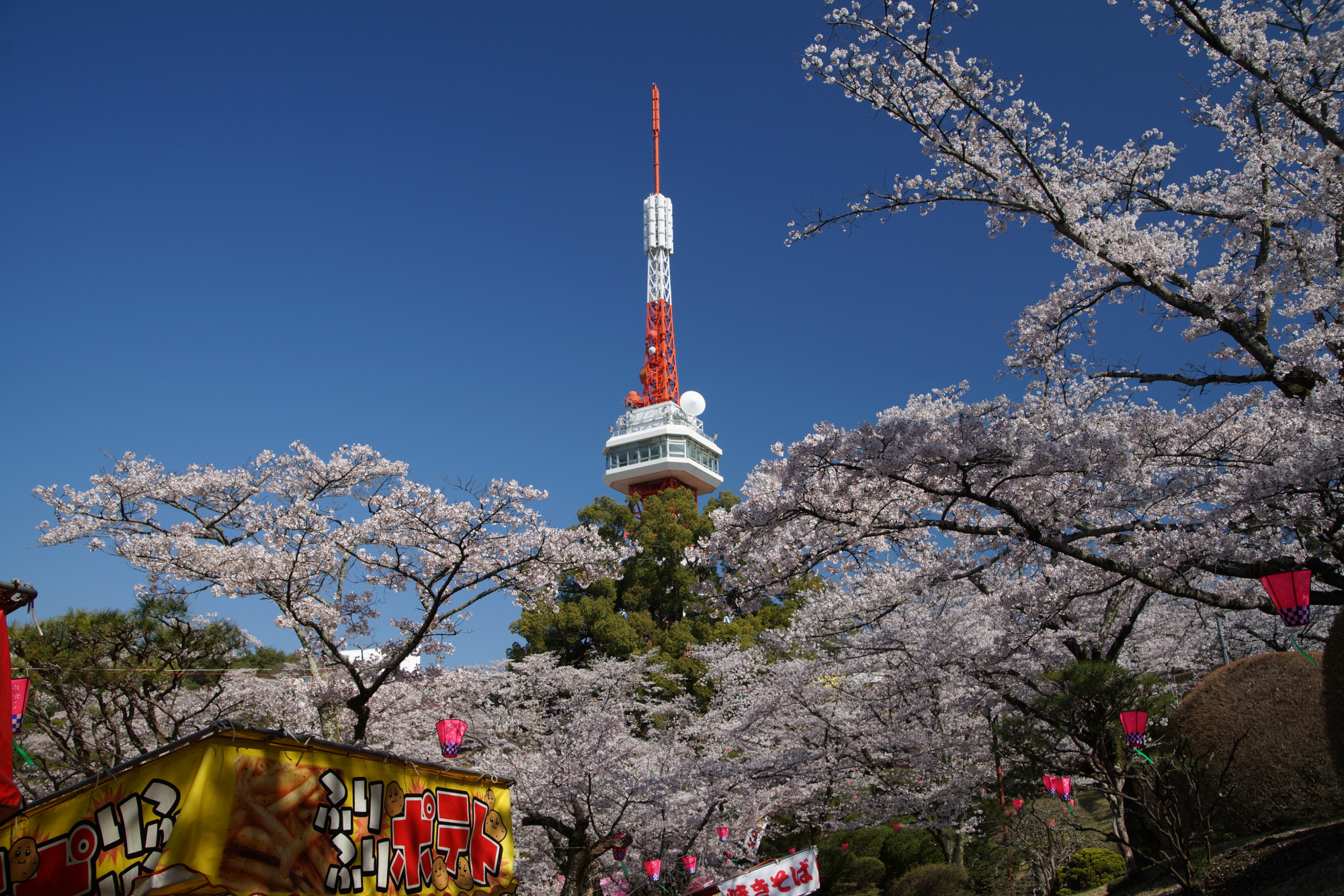 2026年4月3日(金)撮影