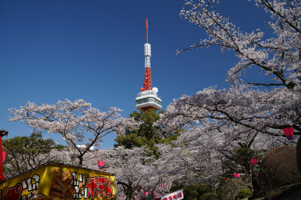 2026年4月3日（金）撮影