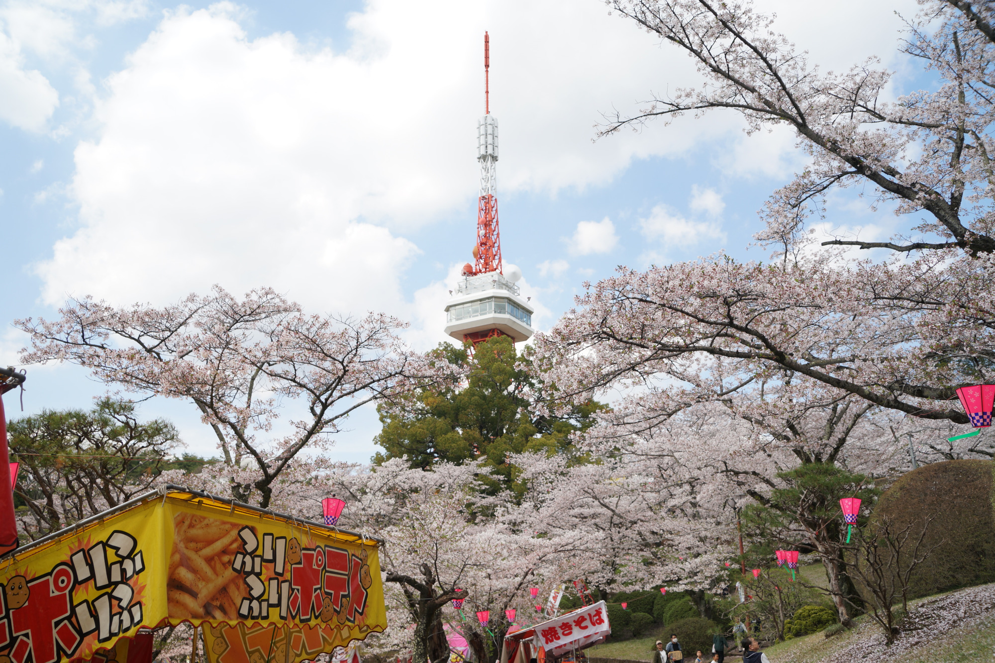 2026年4月6日(月)撮影