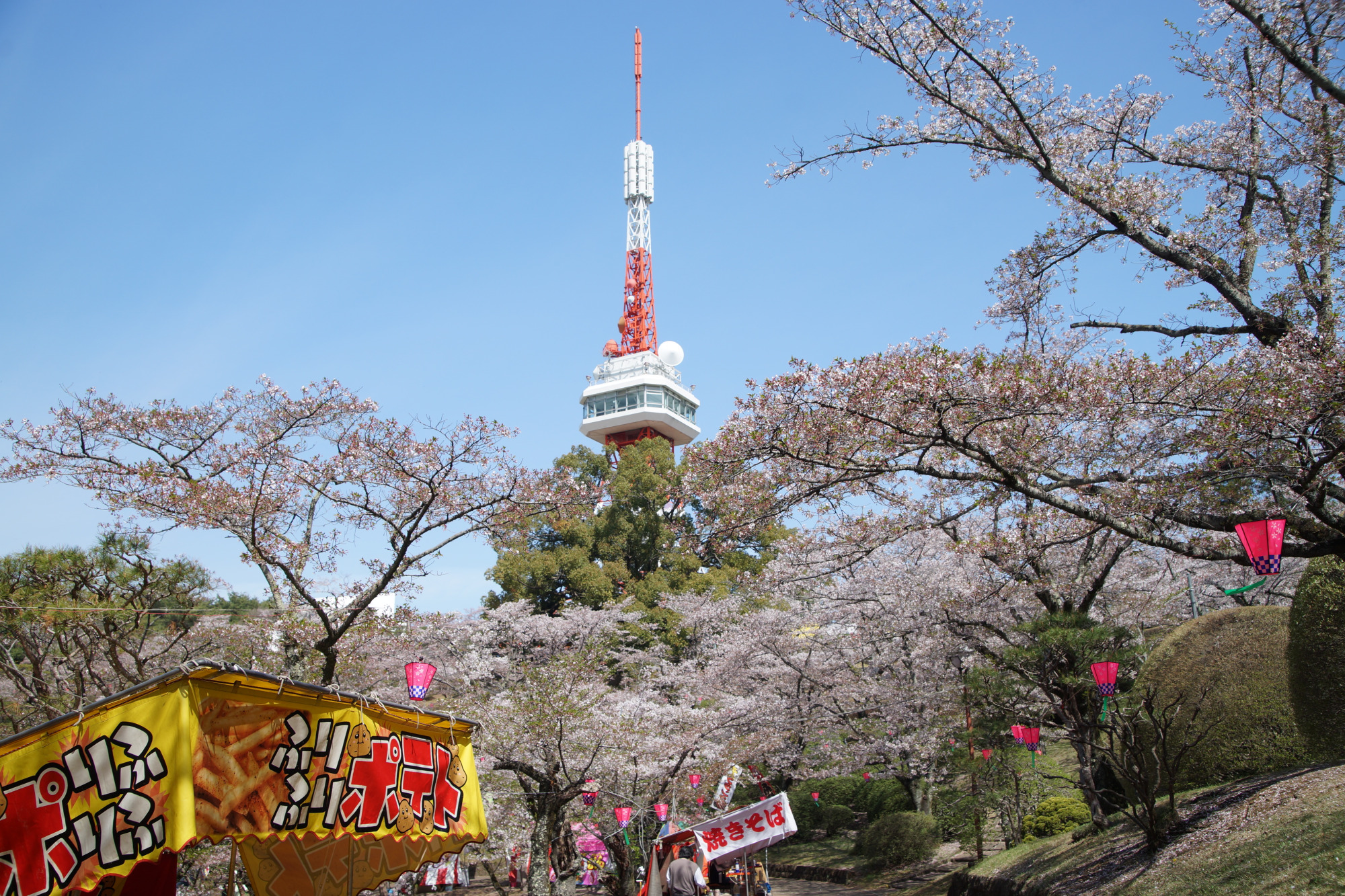 2026年4月9日(木)撮影