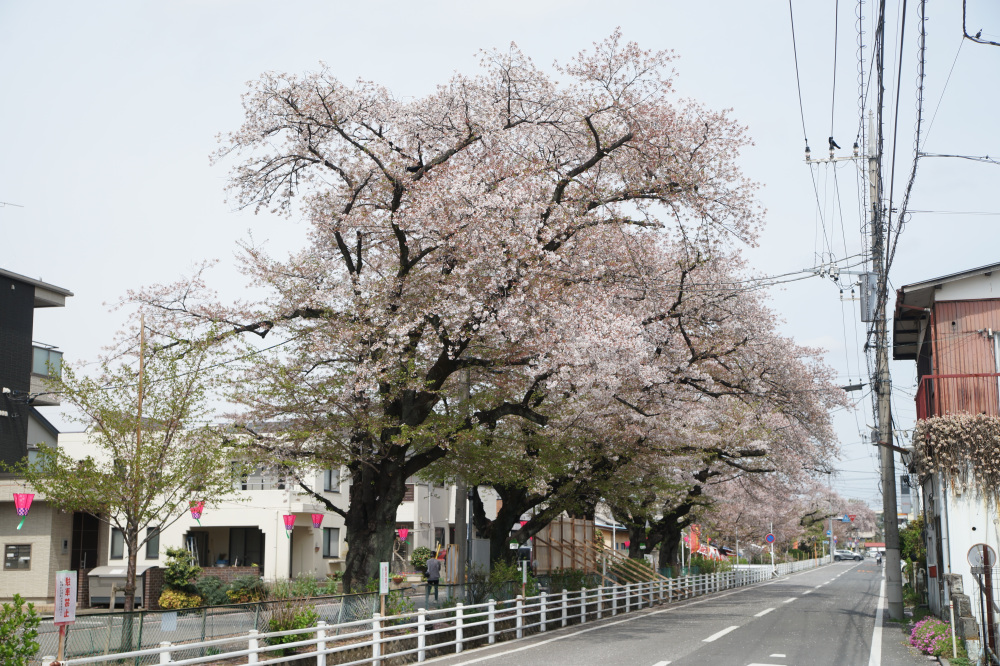 2026年4月9日（木）撮影