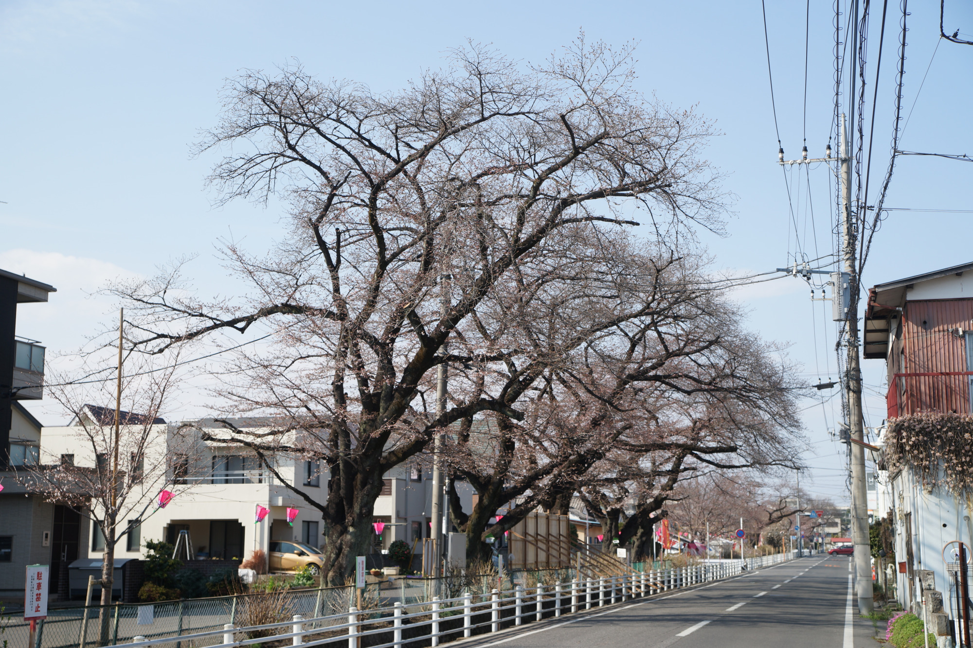 2026年3月24日(火)撮影
