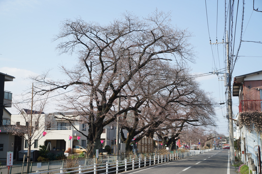 2026年3月24日（火）撮影