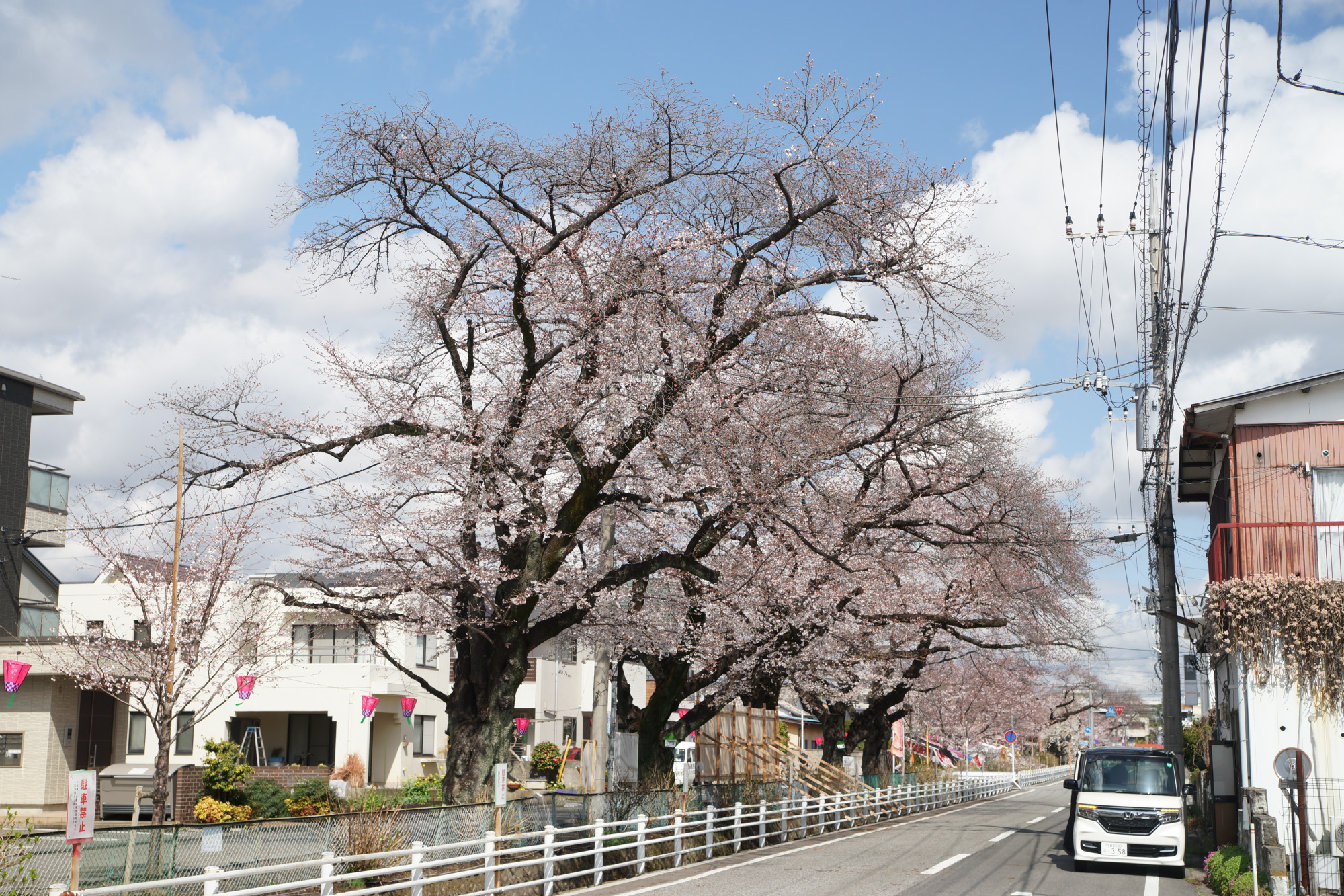 2026年3月27日(金)撮影