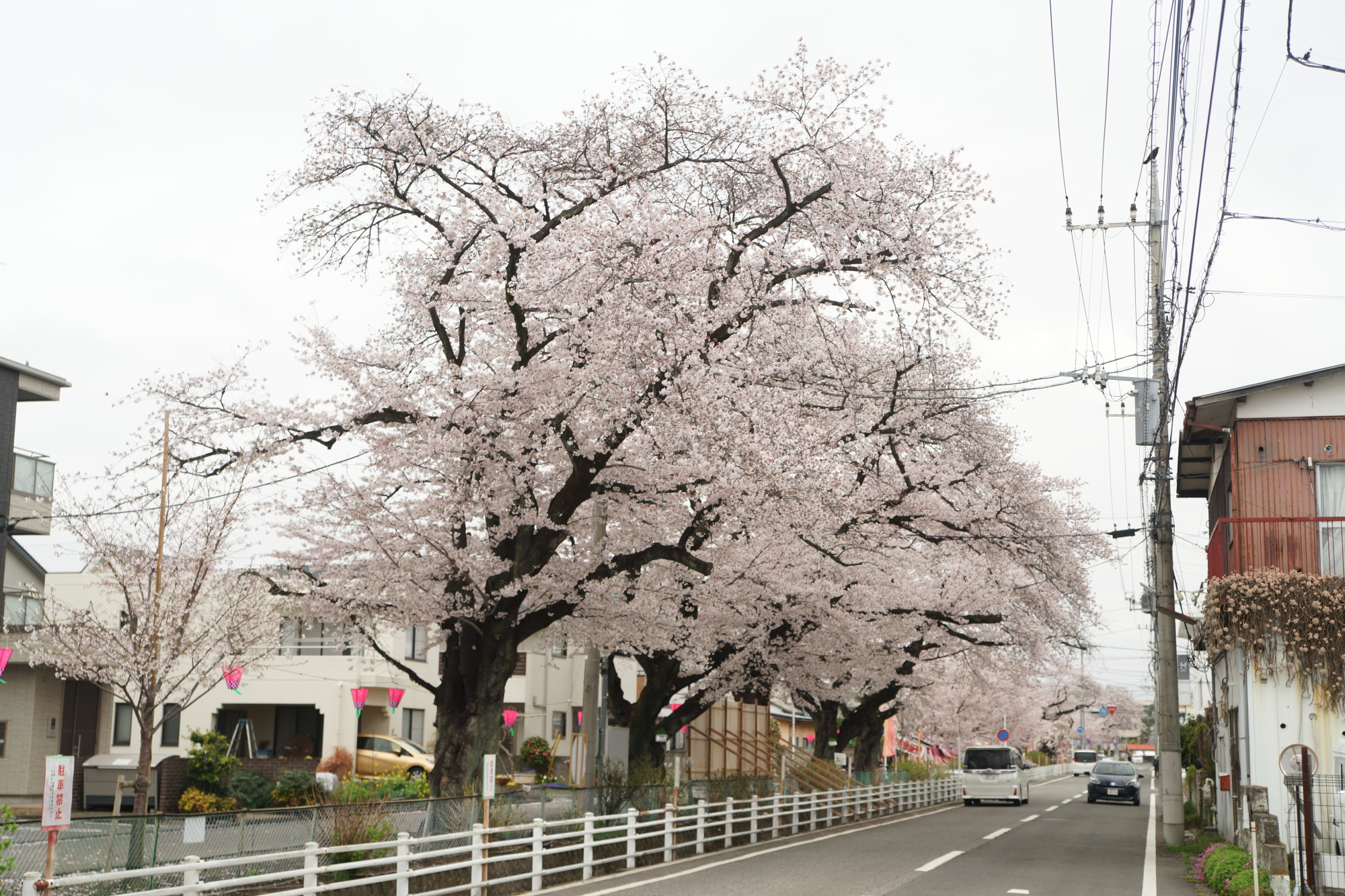 2026年4月1日(水)撮影