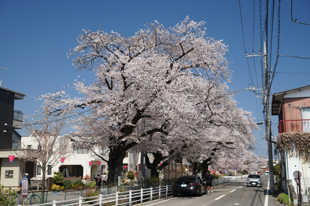 2026年4月3日（金）撮影