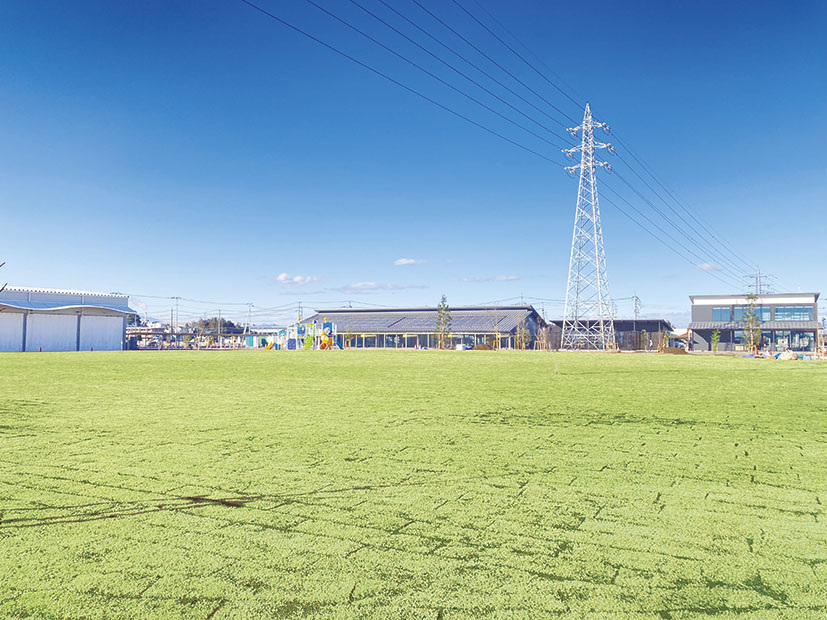 広々とした芝生広場