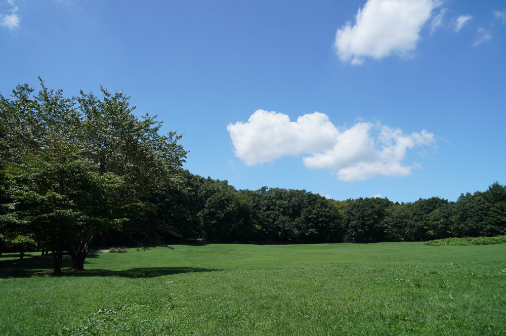 近くの観光スポット うつのみや文化の森