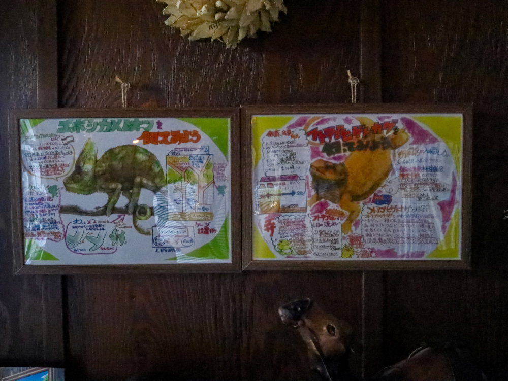 飼い方のコツ表