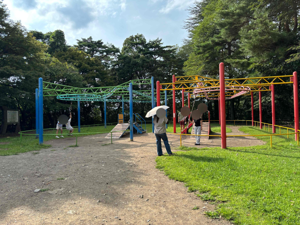 周遊型ターザンロープ（レールウェイ）