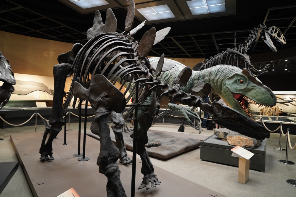 近くに博物館も！