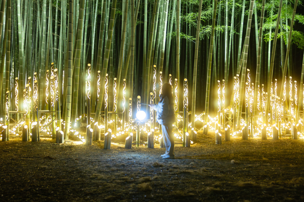 こちらの記事もチェック!