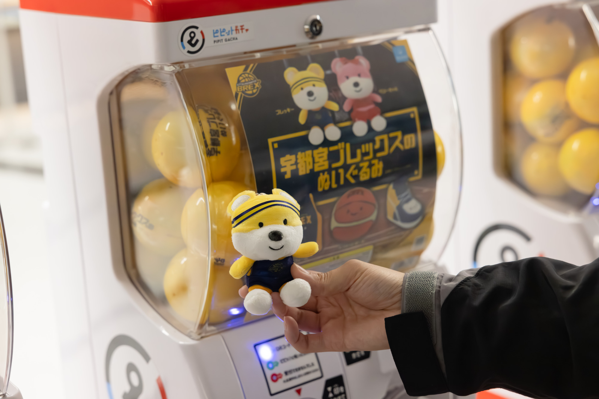 ブレッキーやベリーちゃんのぬいぐるみは非常に人気があり、ぜひともゲットしてカバンなどにつけたい!