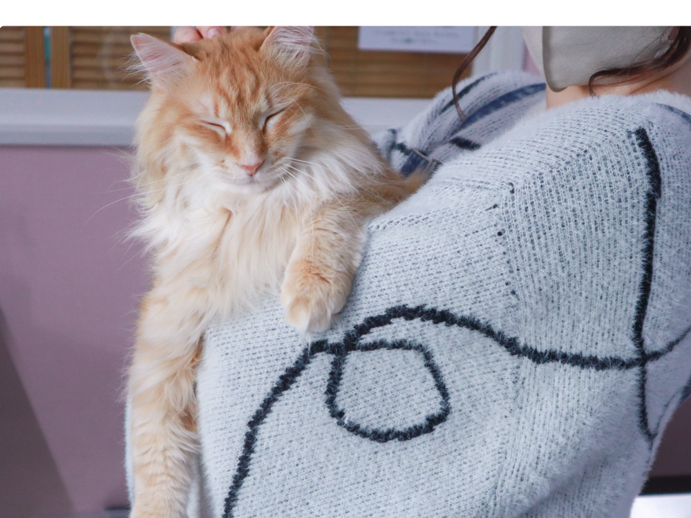 遊びに来てにゃ♡