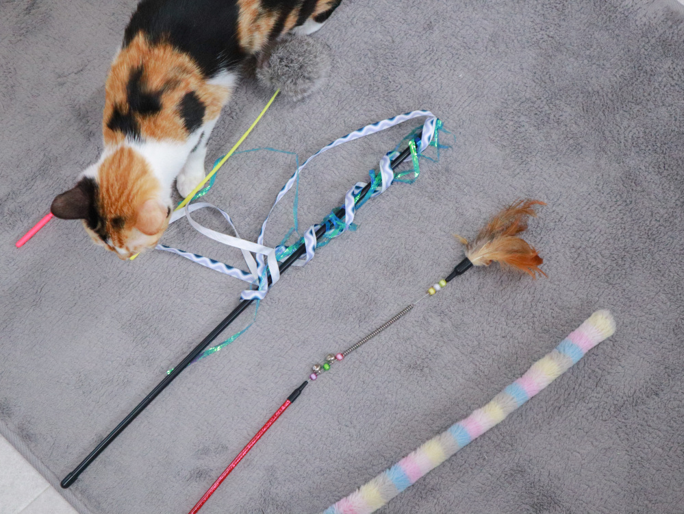 色々なおもちゃがあります