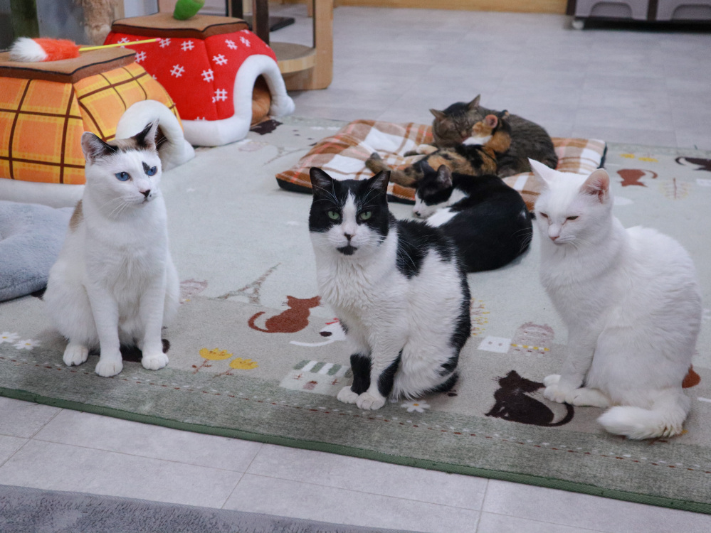 自由参加の撮影風景です(笑)